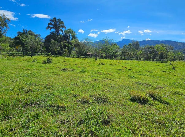 Permaculture Lot 2, Santa Elena, 11902