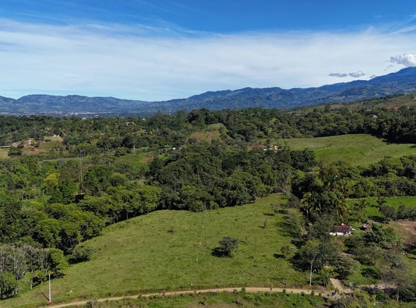 Permaculture Lot 3, Santa Elena, 11902