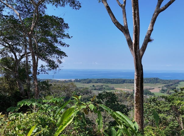 Exceptional 71-Acre Ocean View & Riverfront Development Property in Hatillo , Dominical, Puntarenas, Costa Rica, Dominical, 60602