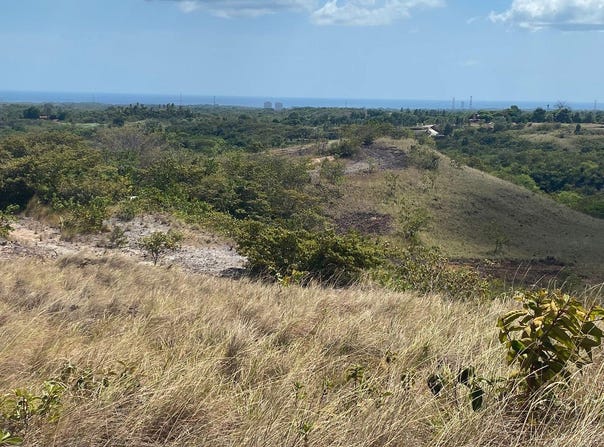 Guayabito, San Carlos, 