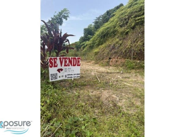 Cll 5 SOLAR EN BARRIO TEJAS, YABUCOA, Tejas, Yabucoa, 00767