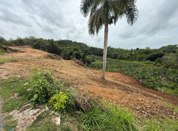 0 SOLAR 852M, BO. PLANAS, ISABELA, Plana, Isabela, 00662