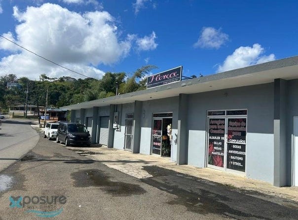Km 17.7 CARR 156, Barranquitas, 00794