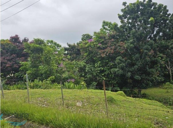 2,601.98 SOLAR MIRADERO HILLS, MAYAGÜEZ, Miradero , Mayaguez, 00680