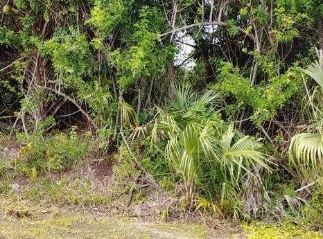 E Easy Street, FL 34982