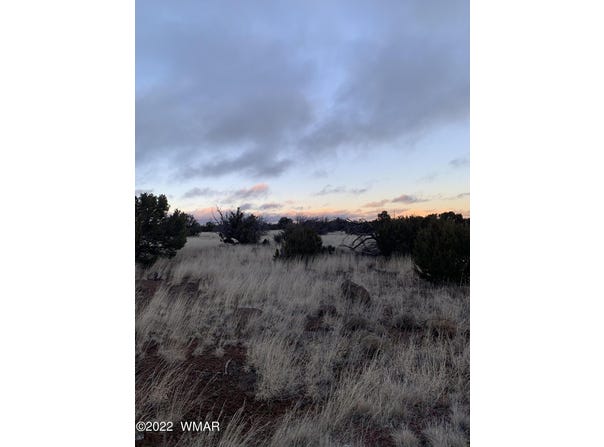 County Rd 8084, Concho, AZ 85924