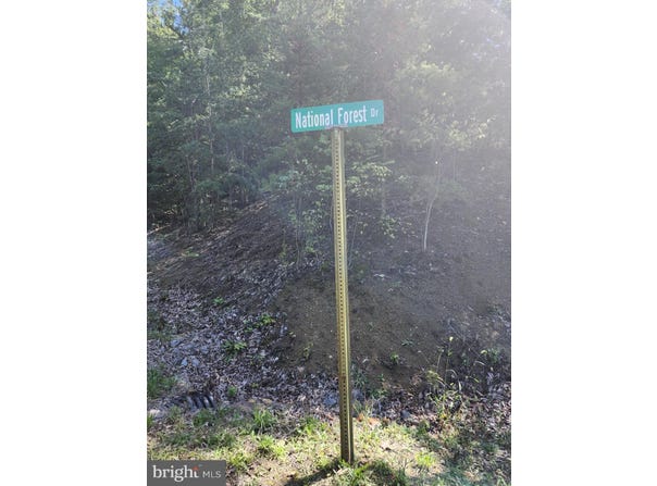 GRACE MOUNTAIN LANE, MILAM, WV 26838