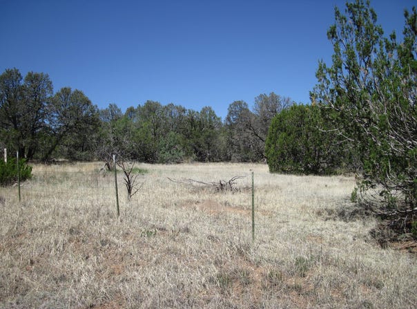 152 Jesse James Road, Edgewood, NM 87015
