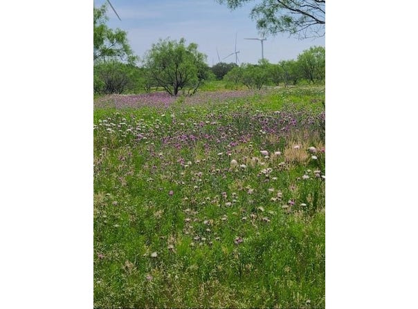 Tbd County Road 423, Cisco, TX 76437