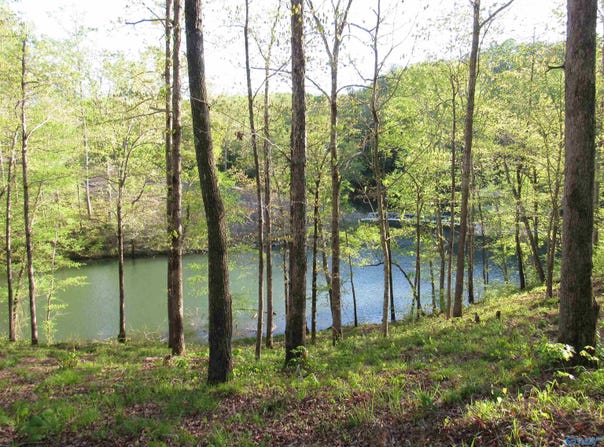 703 Legendary Parkway, Arley, AL 35541