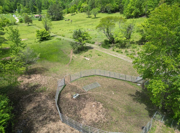 1111 Morris Lane, Heidrick, KY 40949