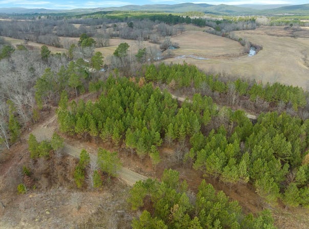 2 Blue Bunting Road, Smithville, OK 74957