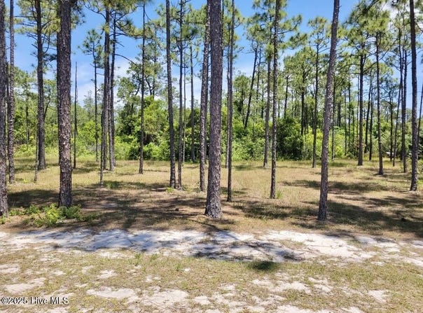 3066 Moss Hammock Wynd, Southport, NC 28461