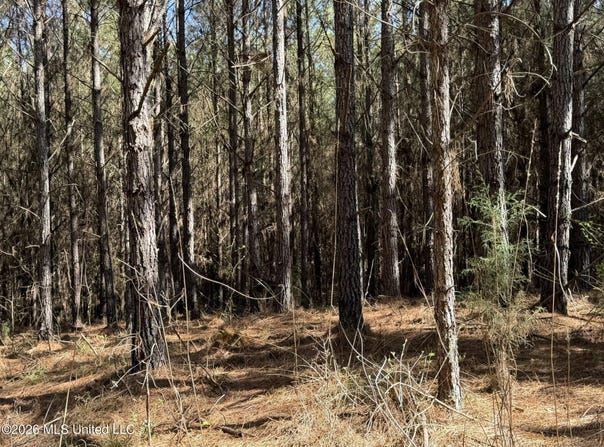 County Road 4103, Sallis, MS 39160