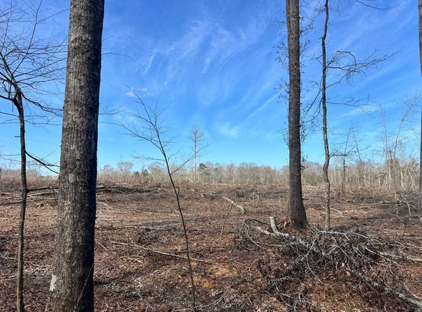 - Pettey Road, Forest, MS 39074