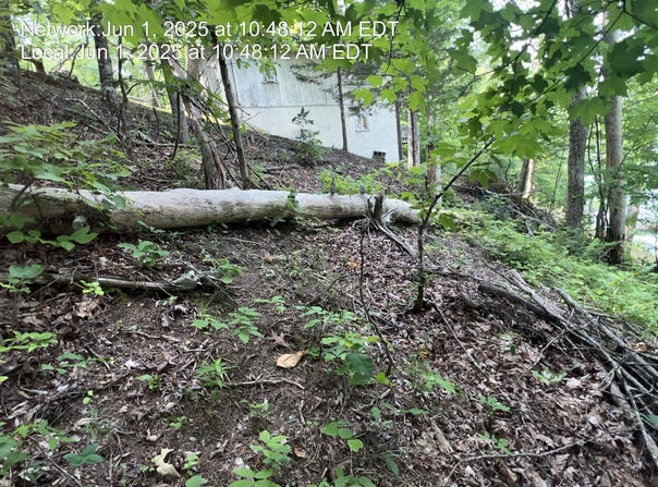 Lot 29 Driftwood Circle, Sevierville, TN 37876