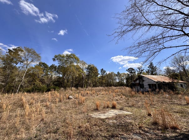 3.13 Acres Skyland Farm Road, Williston, SC 29853