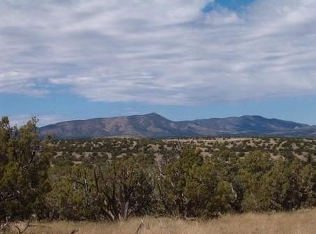Lot 45 Abbe Springs, Magdalena, NM 87825