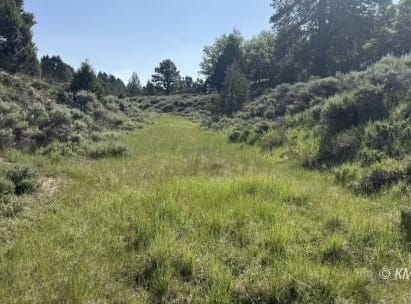 ALTON, Alton, UT 84710