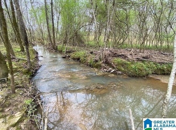 N WOLF CREEK ROAD, PELL CITY, AL 35125