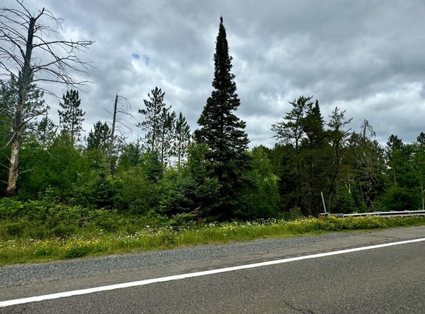 2.66ac HWY 45, Watersmeet, MI 49969