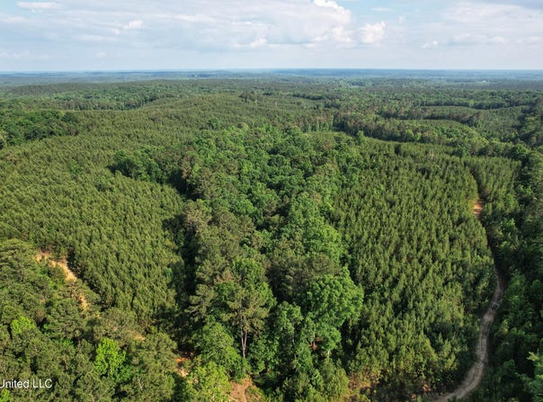 Tom Mans Road, Vaiden, MS 39176