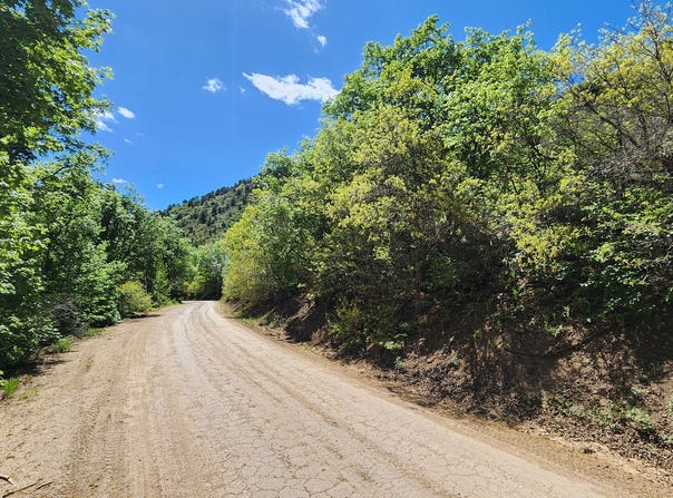 14065 E BIRCH Crk, Fairview, UT 84629