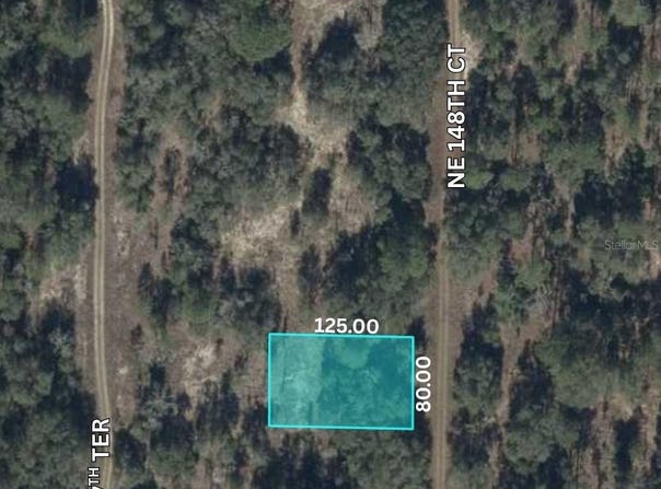 NE 148TH Court, WILLISTON, FL 32696