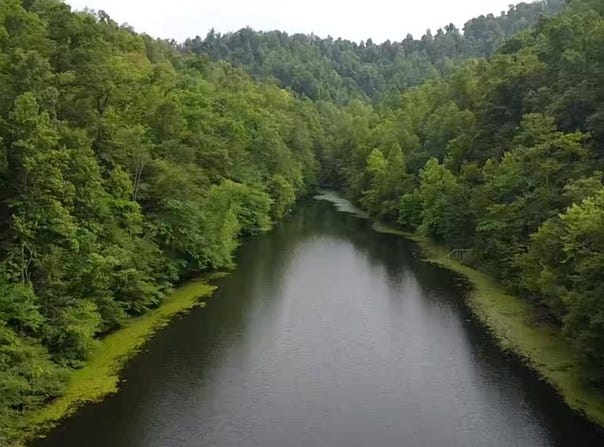 0 Falcon rd, Salyersville, KY 41465