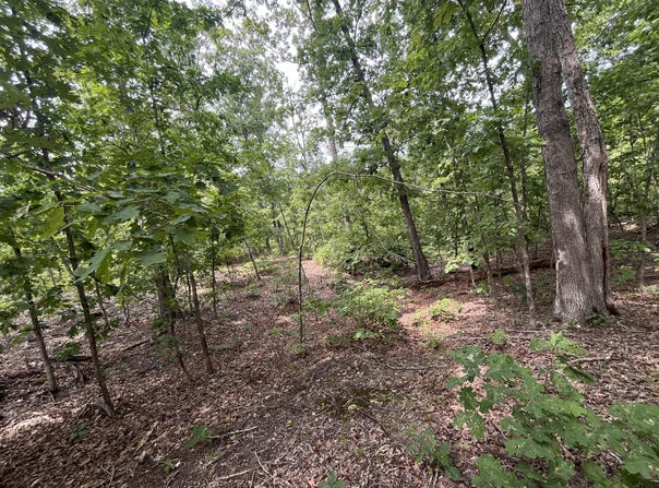 1 Partridge Drive, Climax Springs, MO 65324