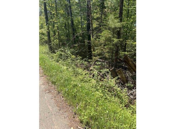 LOWER DAM Road, MOUNTAIN, WI 54149