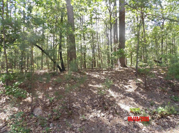 4 VUELTA LANE, Hot Springs Village, AR 71909