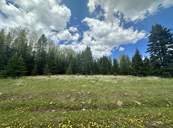 Lot 15 Pleasant Meadow Drive, Angel Fire, NM 87710