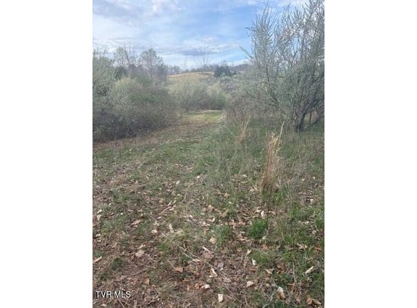 Sulphur Springs Road, Jonesville, VA 24263