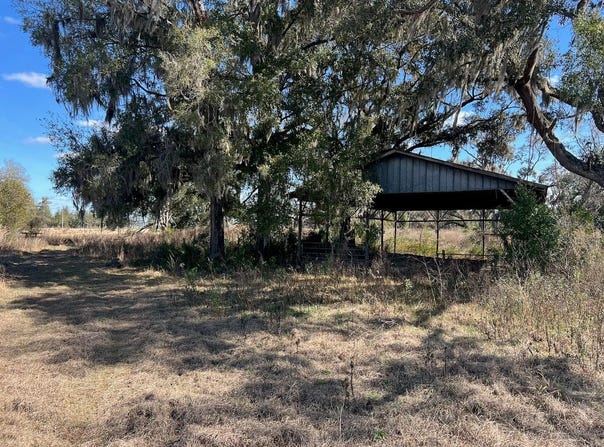 2351 NE HIGHWAY 41, WILLISTON, FL 32696