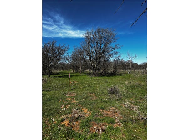 382 High Plains Court, Bellevue, TX 76230