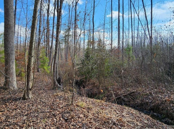 0 VAWTER CORNER, LOUISA, VA 23093