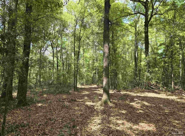 1131 Wolf Log Rd, Flomaton, AL 36441