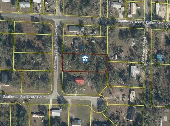 SAN PEDRO Avenue, MAYO, FL 32066