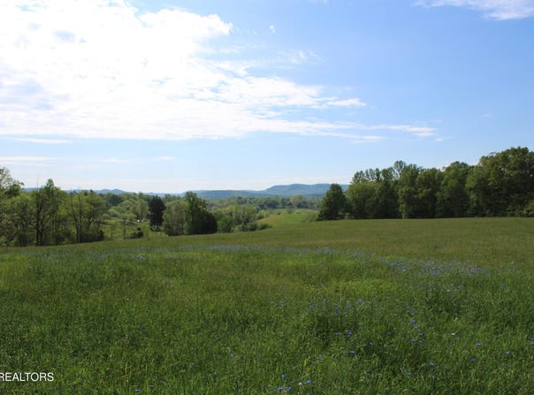 N York Hwy, Pall Mall, TN 38577