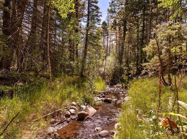 County Rd 46, Aguilar, CO 81020