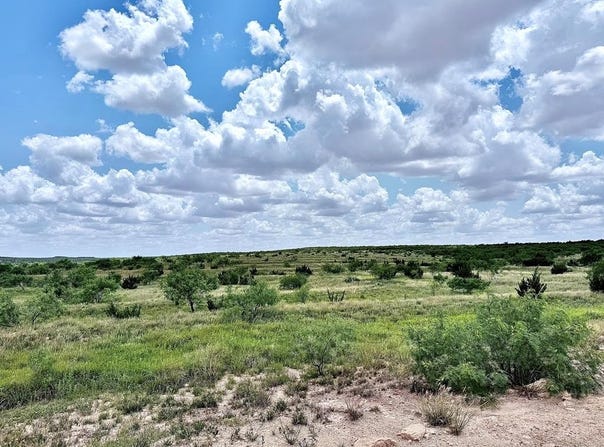 Camp Springs Rd, Snyder, TX 79549