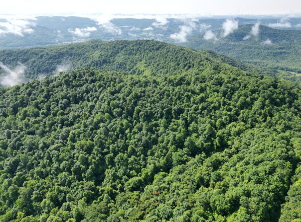 0 Kensee Hollow Rd, Williamsburg, KY 40769