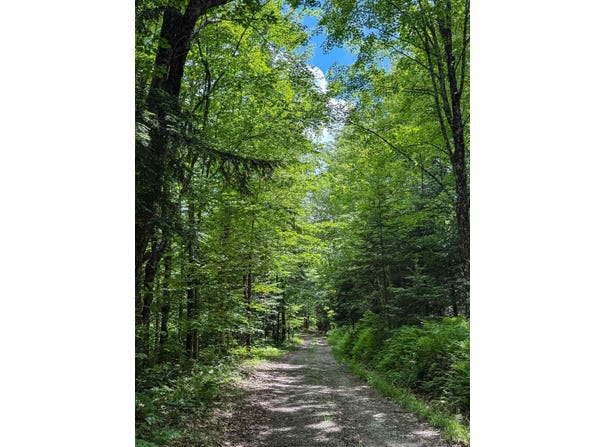 273 Guyette Road, Lowell, VT 05847