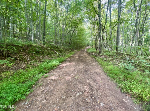1200 Douglas Drive, Sneedville, TN 37869