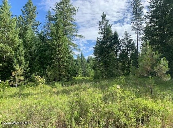 Nka Northern Sky Rd. lot 1, Athol, ID 83801