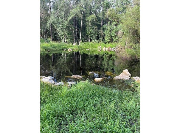 501 JUDSON DRIVE, PERRY, FL 32348