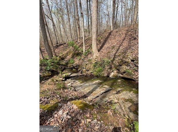 0 SW East Fairview Road, Stockbridge, GA 30281