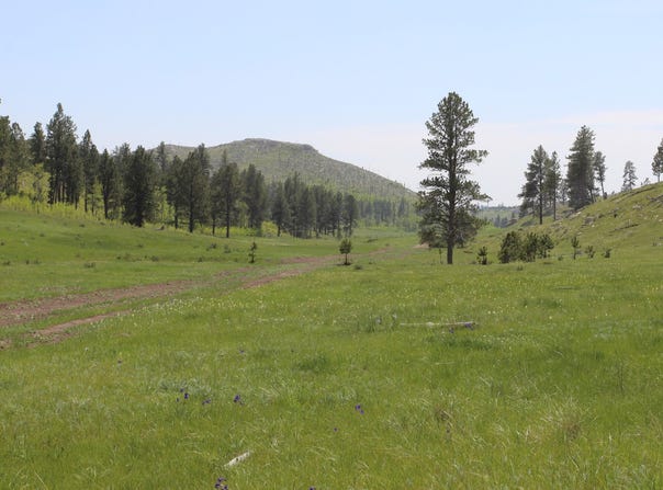 65.49 acres Custer Limestone Road, Custer, SD 57730