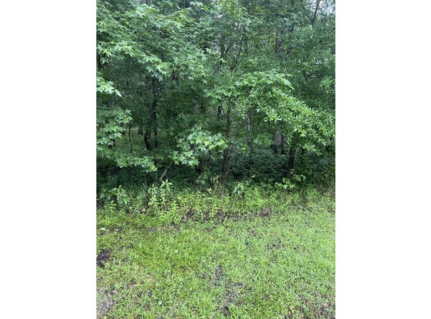 NE CASSIA Drive, Lee, FL 32059